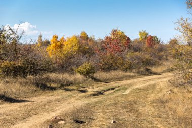 Şaşırtıcı sonbahar manzara Cherna Gora (Karadağ) Dağı, Pernik bölge, Bulgaristan