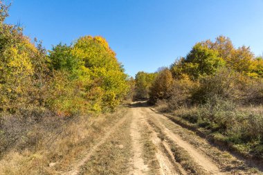 Şaşırtıcı sonbahar manzara Cherna Gora (Karadağ) Dağı, Pernik bölge, Bulgaristan