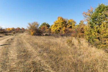 Şaşırtıcı sonbahar manzara Cherna Gora (Karadağ) Dağı, Pernik bölge, Bulgaristan