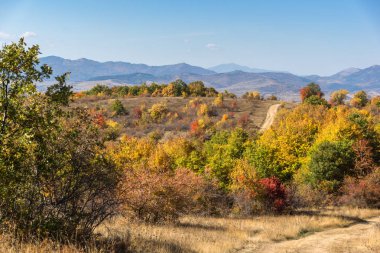 Şaşırtıcı sonbahar manzara Cherna Gora (Karadağ) Dağı, Pernik bölge, Bulgaristan