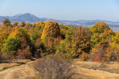 Şaşırtıcı sonbahar manzara Cherna Gora (Karadağ) Dağı, Pernik bölge, Bulgaristan