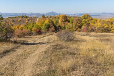 Şaşırtıcı sonbahar manzara Cherna Gora (Karadağ) Dağı, Pernik bölge, Bulgaristan