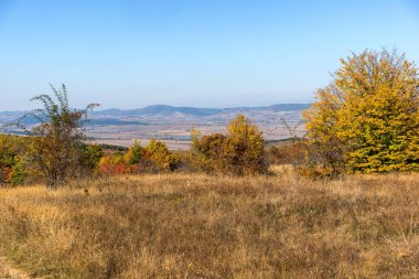 Şaşırtıcı sonbahar manzara Cherna Gora (Karadağ) Dağı, Pernik bölge, Bulgaristan