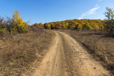 Şaşırtıcı sonbahar manzara Cherna Gora (Karadağ) Dağı, Pernik bölge, Bulgaristan