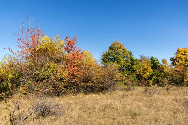 Incredibile Paesaggio Autunnale Cherna Gora Monte Negro Montagna Regione Pernik — Foto Stock