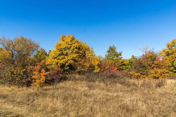 Amazing Autumn Landscape Cherna Gora Monte Negro Mountain Pernik Region — Stock Photo, Image