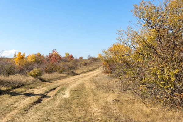 Şaşırtıcı sonbahar manzara Cherna Gora (Karadağ) Dağı, Pernik bölge, Bulgaristan
