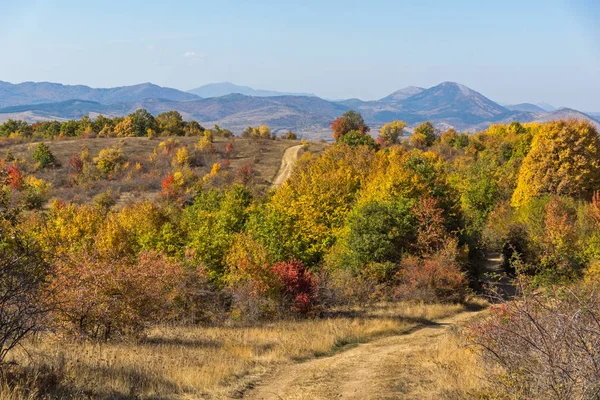 Wunderschöne Herbstliche Landschaft Des Berges Cherna Gora Monte Negro Pernik — Stockfoto