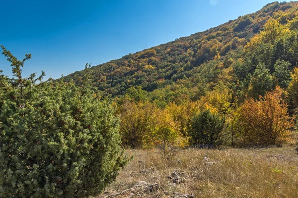 Jesienny Krajobraz Gór Ruen Północnej Części Gór Vlahina Regionu Kyustendil — Zdjęcie stockowe