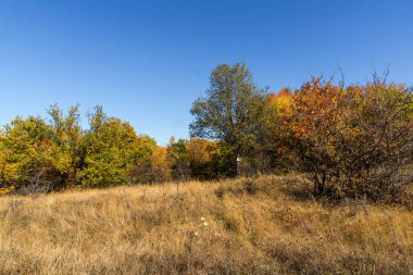 Şaşırtıcı Cherna Gora (Karadağ) dağ sonbahar Panoraması, Pernik bölge, Bulgaristan