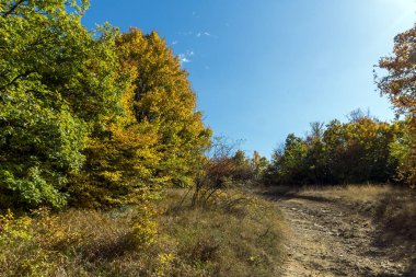 Şaşırtıcı Cherna Gora (Karadağ) dağ sonbahar Panoraması, Pernik bölge, Bulgaristan
