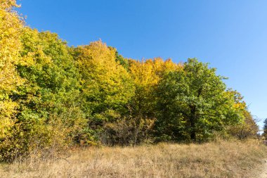 Şaşırtıcı Cherna Gora (Karadağ) dağ sonbahar Panoraması, Pernik bölge, Bulgaristan