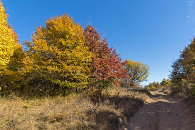 Şaşırtıcı Cherna Gora (Karadağ) dağ sonbahar Panoraması, Pernik bölge, Bulgaristan