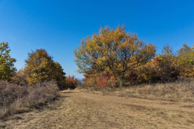 Şaşırtıcı Cherna Gora (Karadağ) dağ sonbahar Panoraması, Pernik bölge, Bulgaristan