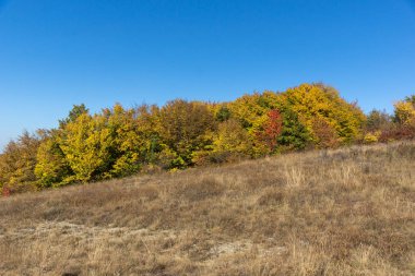 Şaşırtıcı Cherna Gora (Karadağ) dağ sonbahar Panoraması, Pernik bölge, Bulgaristan