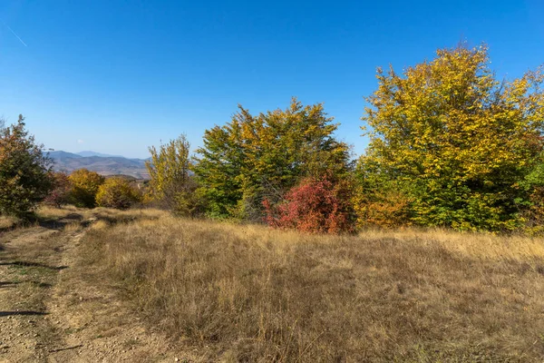 Wunderschönes Herbstpanorama Des Berges Cherna Gora Monte Negro Pernik Region — Stockfoto