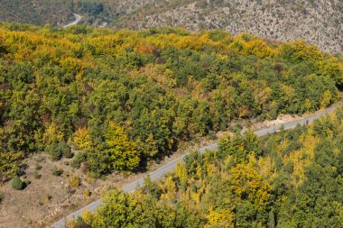 Şaşırtıcı sonbahar manzara Ruen Dağı - Kuzey kesiminde Vlahina Dağı, Köstendil bölge, Bulgaristan