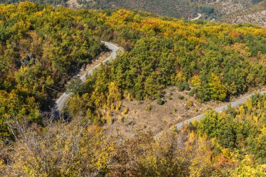 Şaşırtıcı sonbahar manzara Ruen Dağı - Kuzey kesiminde Vlahina Dağı, Köstendil bölge, Bulgaristan