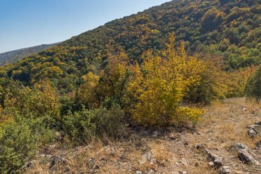Şaşırtıcı sonbahar manzara Ruen Dağı - Kuzey kesiminde Vlahina Dağı, Köstendil bölge, Bulgaristan