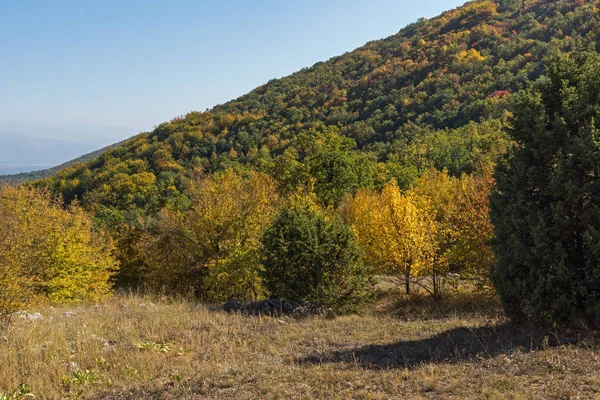Geweldige Herfst Landschap Van Ruen Mountain Noordelijke Deel Van Vlahina — Stockfoto