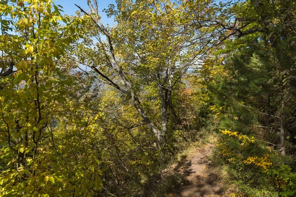 Şaşırtıcı sonbahar manzara Ruen Dağı - Kuzey kesiminde Vlahina Dağı, Köstendil bölge, Bulgaristan