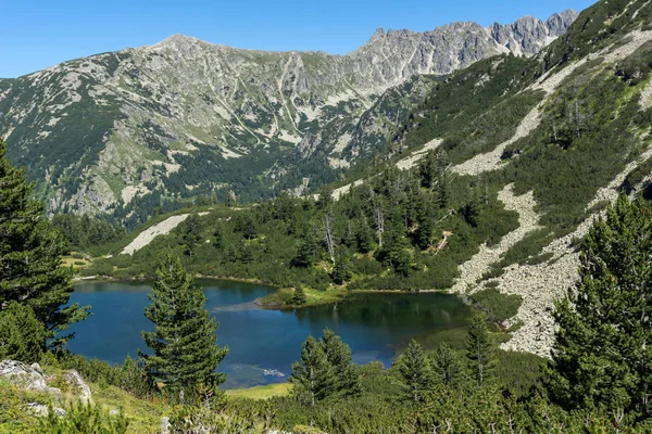 Niesamowity Krajobraz Vasilashko Ryby Jeziora Góry Pirin Bułgaria — Zdjęcie stockowe