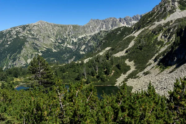 Amazing Landscape Dengan Danau Fish Vasilashko Pirin Mountain Bulgaria — Stok Foto