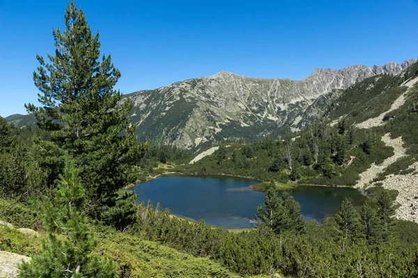Paisagem Incrível Com Peixes Lago Vasilashko Pirin Mountain Bulgária — Fotografia de Stock