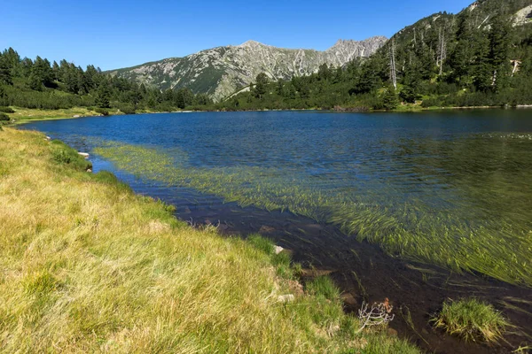 Amazing Landscape Dengan Danau Fish Vasilashko Pirin Mountain Bulgaria — Stok Foto