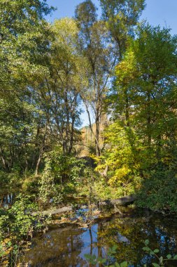 Sonbahar manzara Iskar Nehri yakınındaki Pancharevo Gölü, Sofya şehir bölge, Bulgaristan