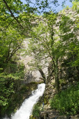 Iskar Gorge ve Vazova iz, koca Balkan Dağları, Bulgaristan, küçük şelale peyzaj