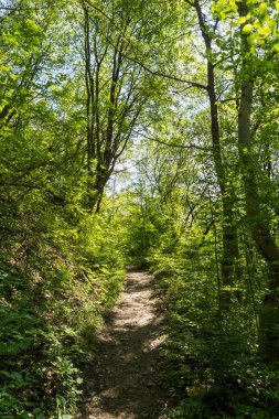 Iskar Gorge ve Vazov iz, koca Balkan Dağları, Bulgaristan ile manzara