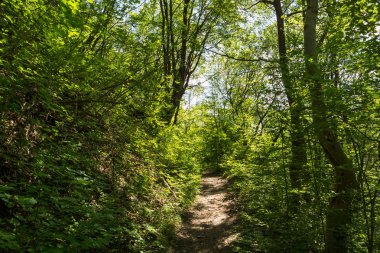 Iskar Gorge ve Vazov iz, koca Balkan Dağları, Bulgaristan ile manzara