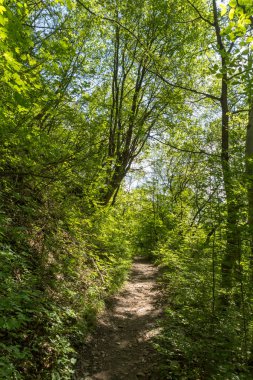 Iskar Gorge ve Vazov iz, koca Balkan Dağları, Bulgaristan ile manzara