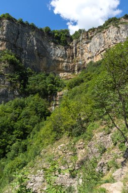 Green forest around Waterfall Skaklya near village of Zasele at Vazov trail, Balkan Mountains, Bulgaria clipart