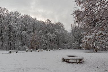 Bulgaristan Sofya şehir South Park'taki ağaçlar şaşırtıcı kış manzarası kar ile kaplı
