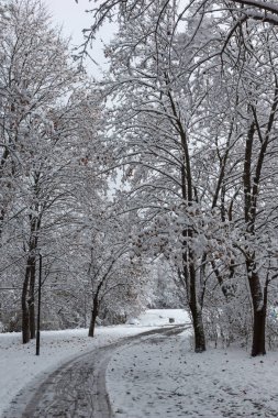 Bulgaristan Sofya şehir South Park'taki ağaçlar şaşırtıcı kış manzarası kar ile kaplı