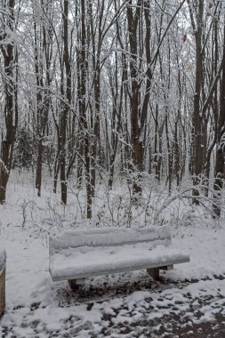 Bulgaristan Sofya şehir South Park'taki ağaçlar şaşırtıcı kış manzarası kar ile kaplı