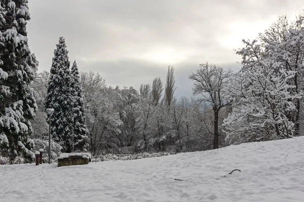 Increíble Paisaje Invierno Con Árboles Cubiertos Nieve South Park Ciudad —  Fotos de Stock