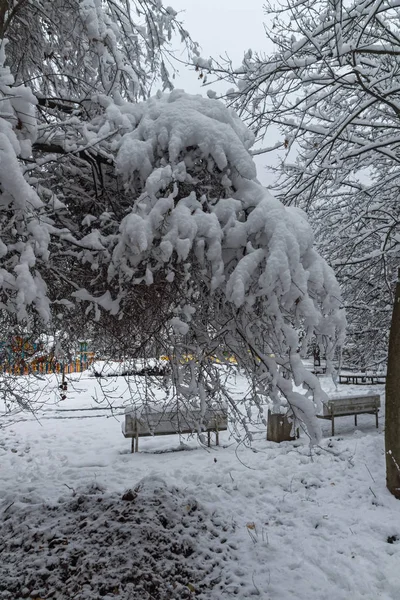 놀라운 풍경을 눈으로 공원의 소피아 불가리아 — 스톡 사진