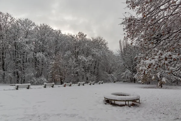 Bulgaristan Sofya şehir South Park'taki ağaçlar şaşırtıcı kış manzarası kar ile kaplı