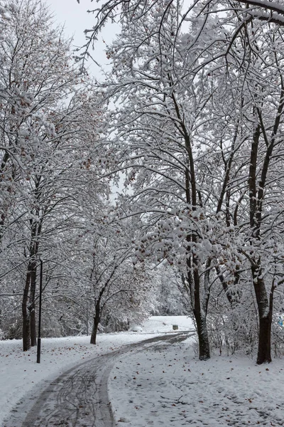 Bulgaristan Sofya şehir South Park'taki ağaçlar şaşırtıcı kış manzarası kar ile kaplı