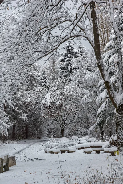 Bulgaristan Sofya şehir South Park'taki ağaçlar şaşırtıcı kış manzarası kar ile kaplı