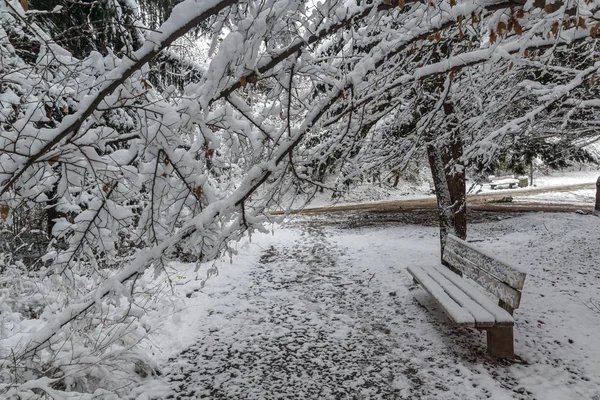 Bulgaristan Sofya şehir South Park'taki ağaçlar şaşırtıcı kış manzarası kar ile kaplı