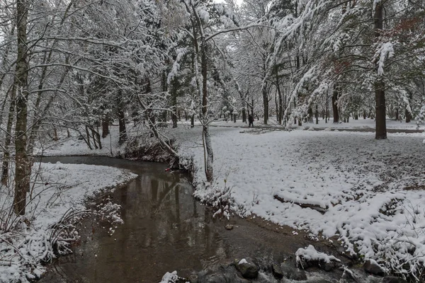 Geweldige Winterlandschap Met Sneeuw Bedekt Bomen South Park Stad Van — Stockfoto