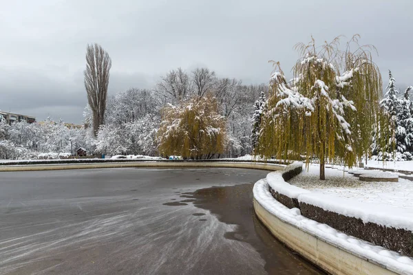 Geweldige Winterlandschap Met Sneeuw Bedekt Bomen South Park Stad Van — Stockfoto