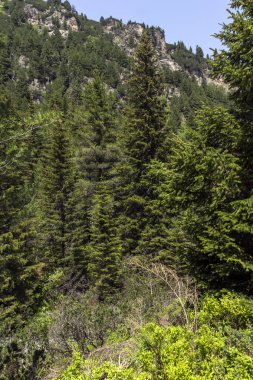 Malyovitsa zirvesi, Rila Dağı, Bulgaristan 'ın yürüyüş parkurundan manzara