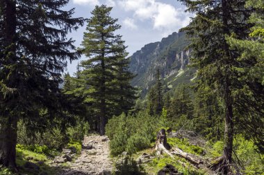 Malyovitsa zirvesi, Rila Dağı, Bulgaristan 'ın yürüyüş parkurundan manzara