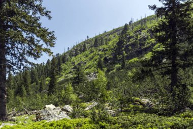 Malyovitsa zirvesi, Rila Dağı, Bulgaristan 'ın yürüyüş parkurundan manzara