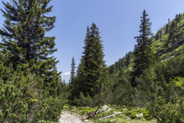 Malyovitsa zirvesi, Rila Dağı, Bulgaristan 'ın yürüyüş parkurundan manzara